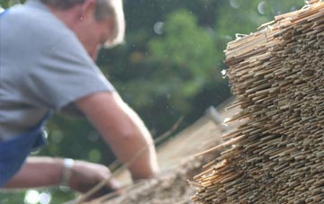 professional Babbacombe thatchers